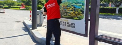 烈日映红心，环境共守护——东阳平安产险开展世界环境日公益活动